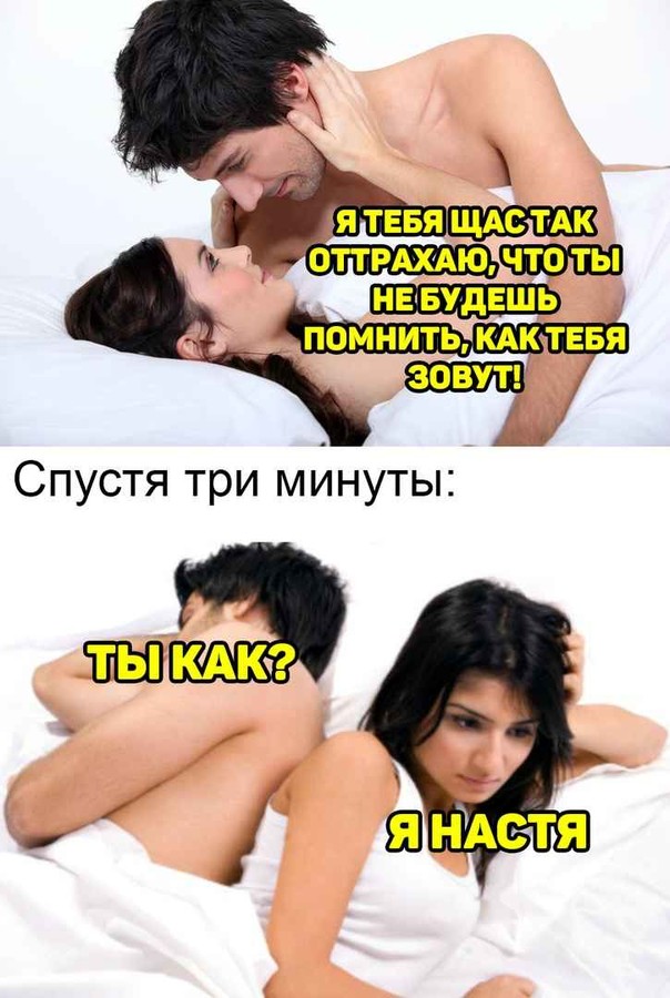 ���������� #2251074