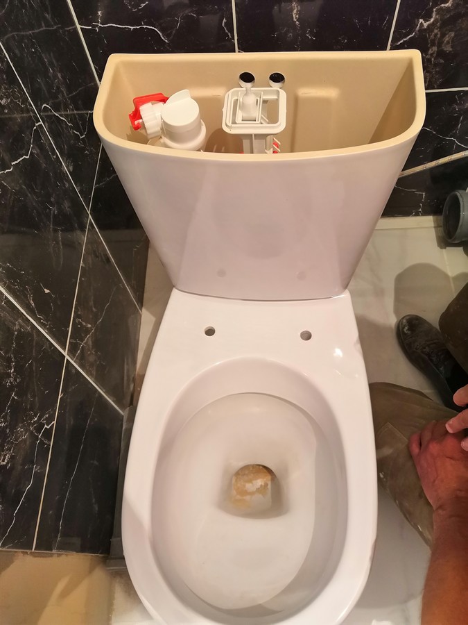 ���������� #2251167
