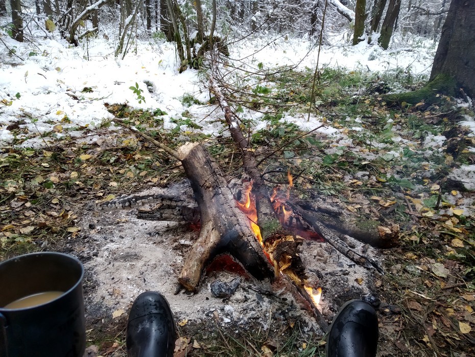 ���������� #2251238