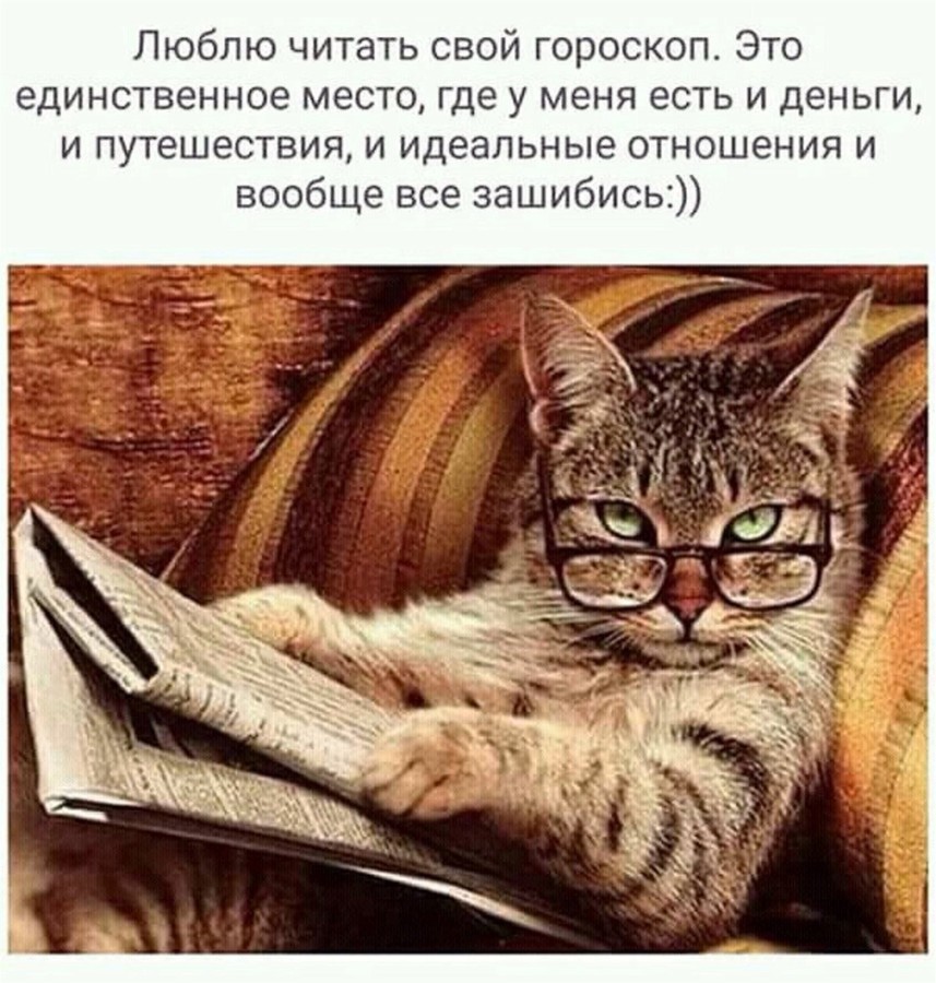 ���������� #2252187