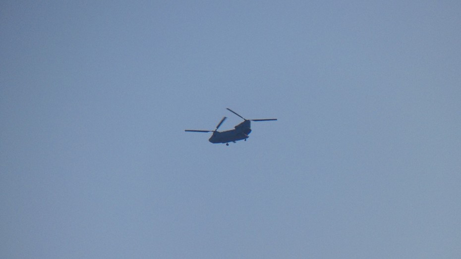 ���������� #2252641