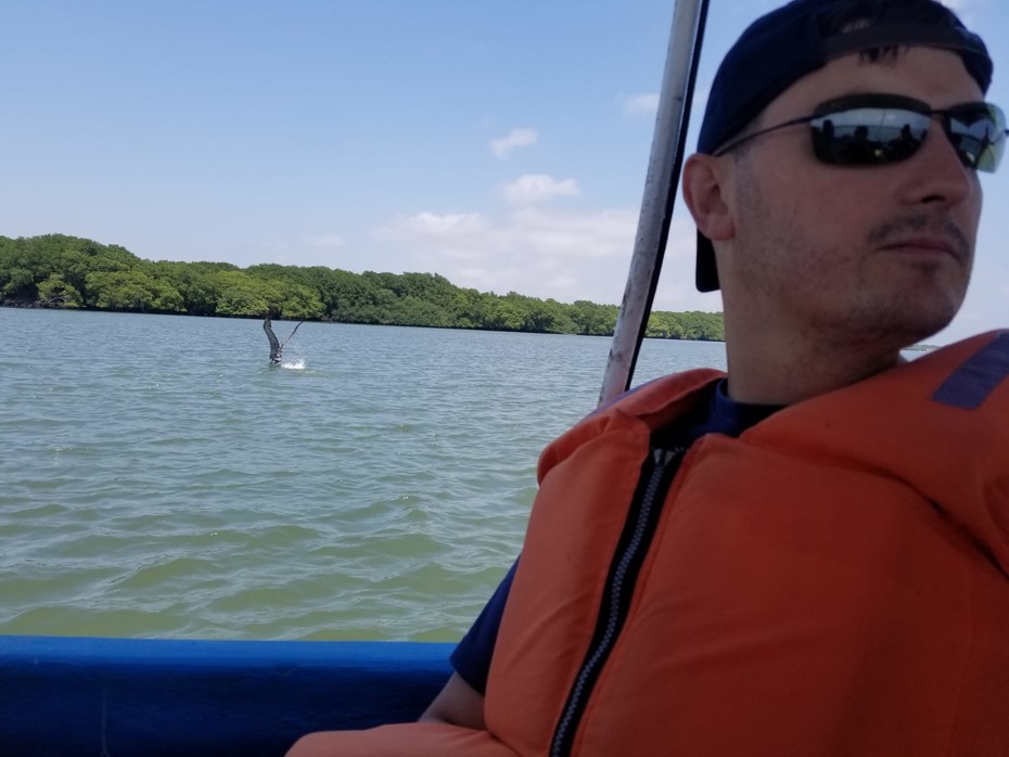 ���������� #2250377