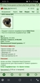  IHPS Helmet [DF] [9/26]