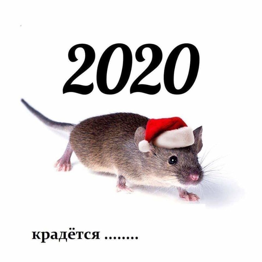 ���������� #2254223