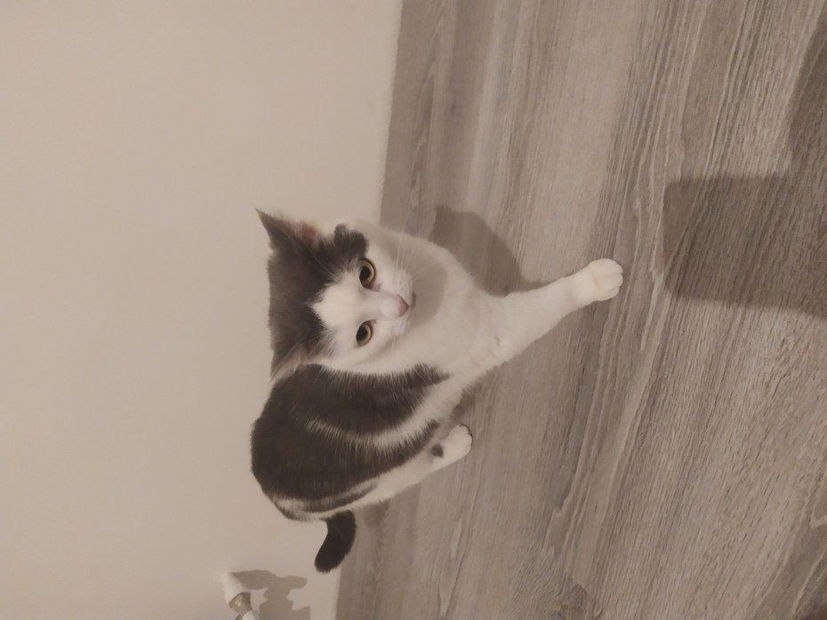 �����