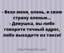 ���������� #2256254