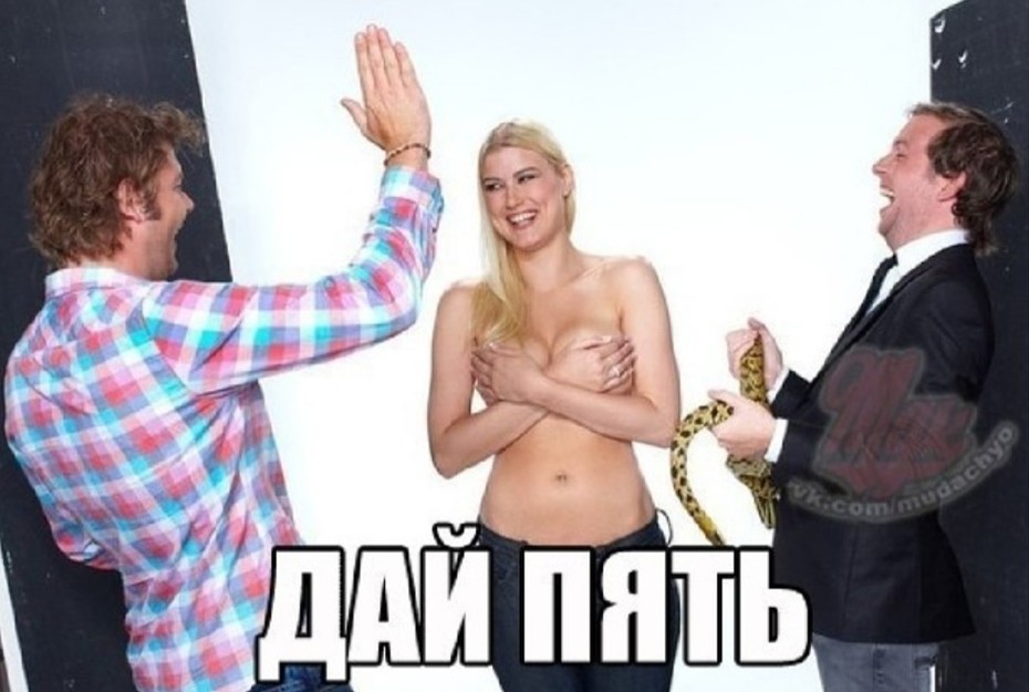 ���������� #2257201