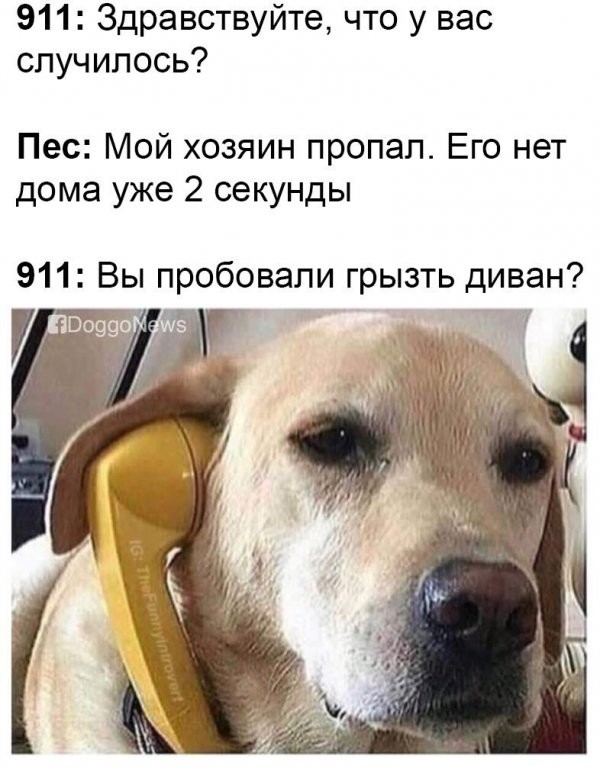 ���������� #2250809
