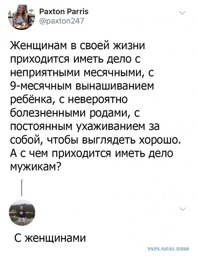 ���������� #2258524