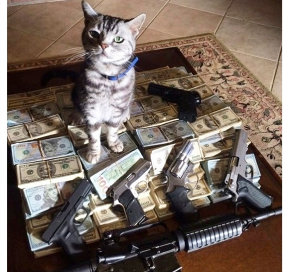 ���������� #2258644