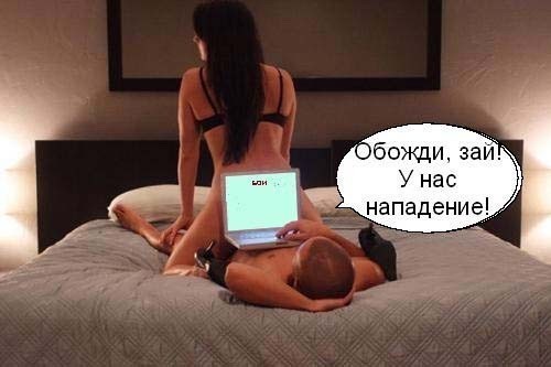 ���������� #2259880
