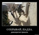 ������������ ��������