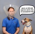 ��� ��������.