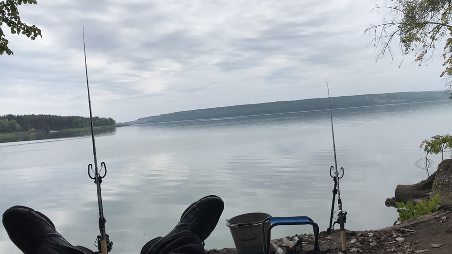 ���������� #2261931