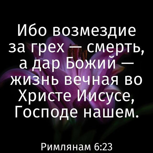 ���������� #2262047