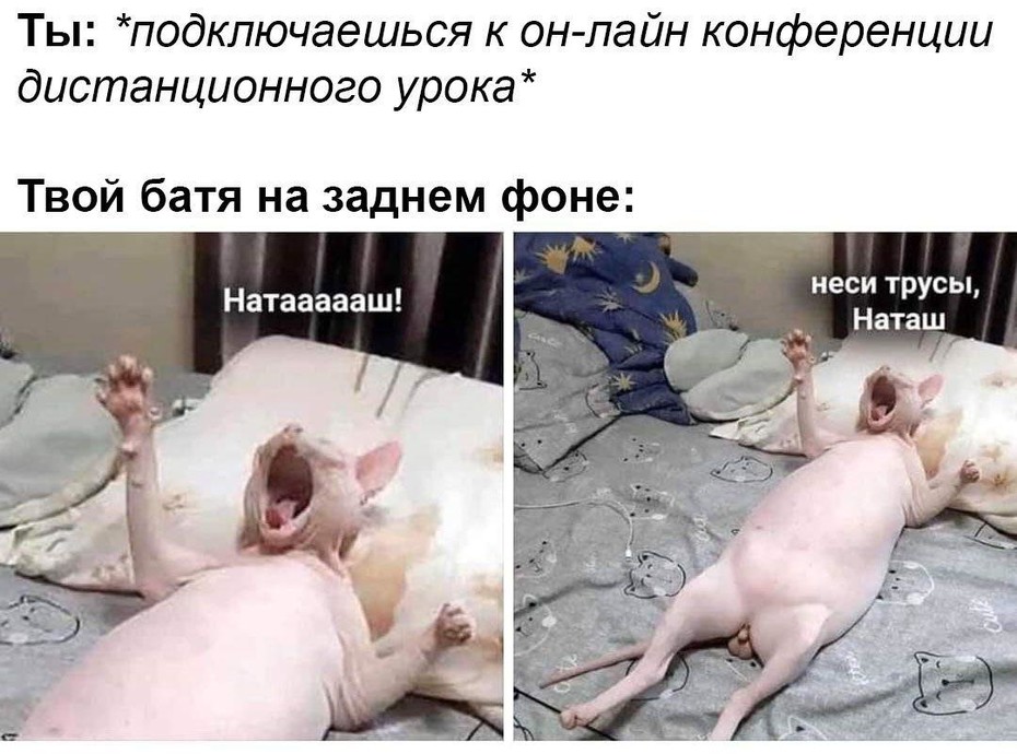 ���������� #2263263