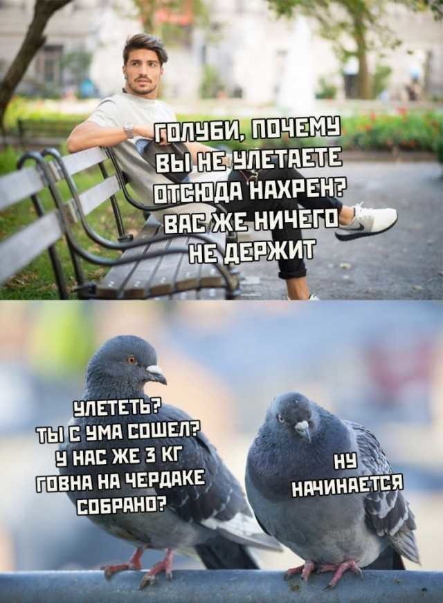 ���������� #2263478