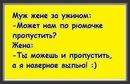 ���������� #2263592