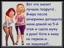 ���������� #2263603