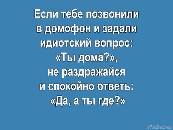 ���������� #2263616