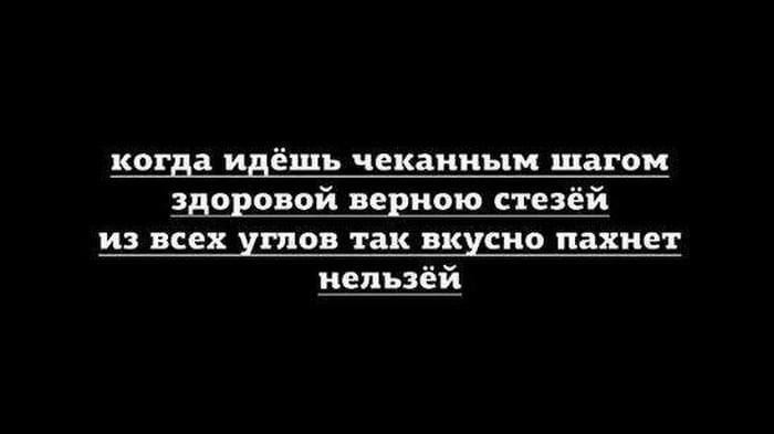 ���������� #2263620