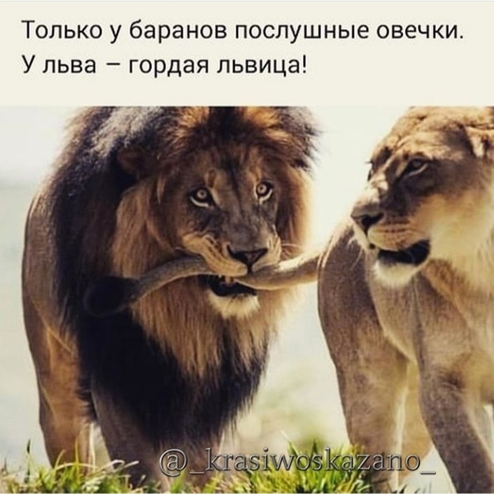 ���������� #2263837