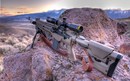 41. M1A SASS