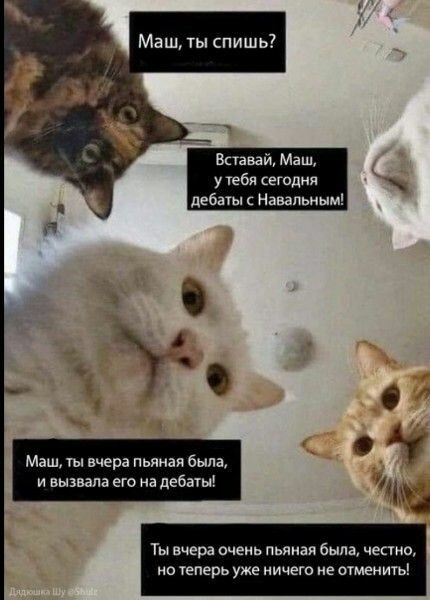 ���������� #2264132