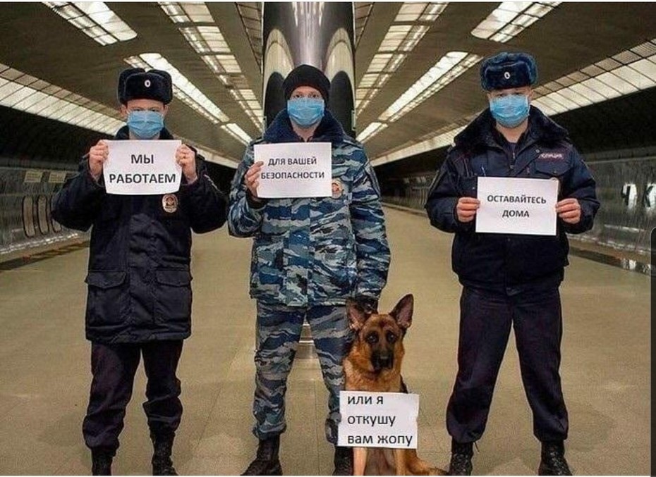 ���������� #2264529