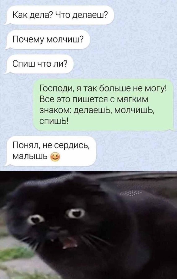 ���������� #2265123