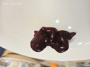����������� �����