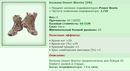 ��� ������� 12.06.20 13:27 patience ������� ����������� ������� Desert Warrior [PB]!