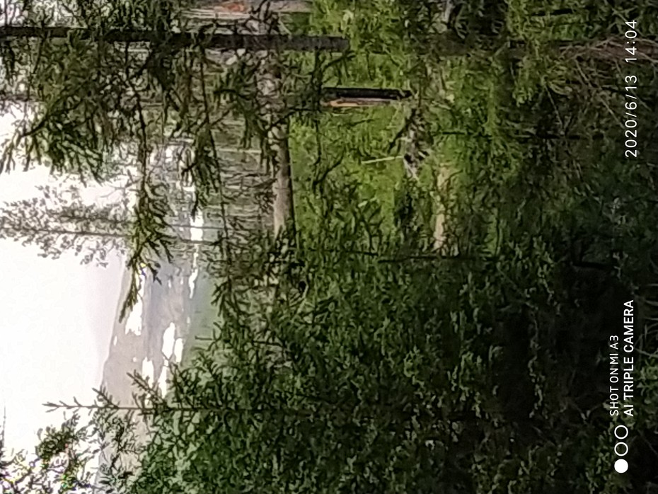���������� #2266603