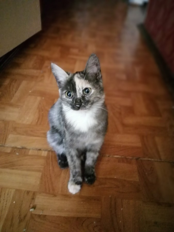 ���������� #2267237