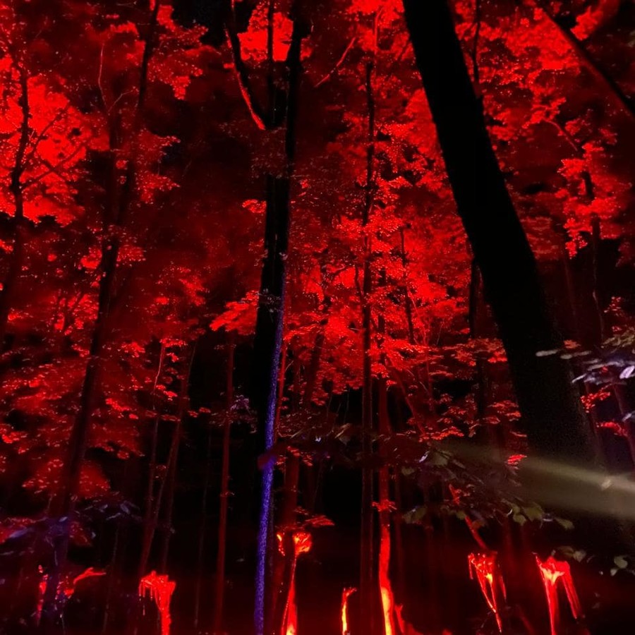 Rave
