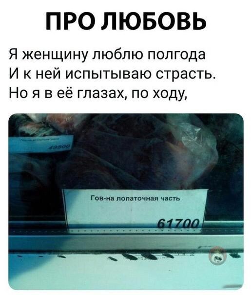 ���������� #2269039