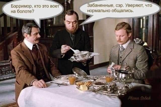 ���������� #2269165