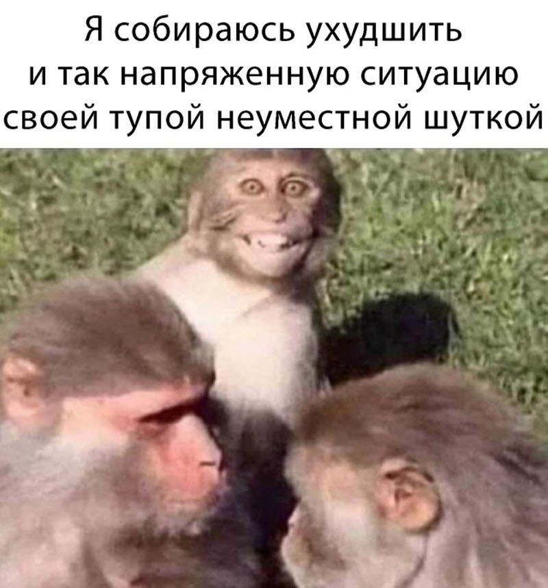 ���������� #2269528