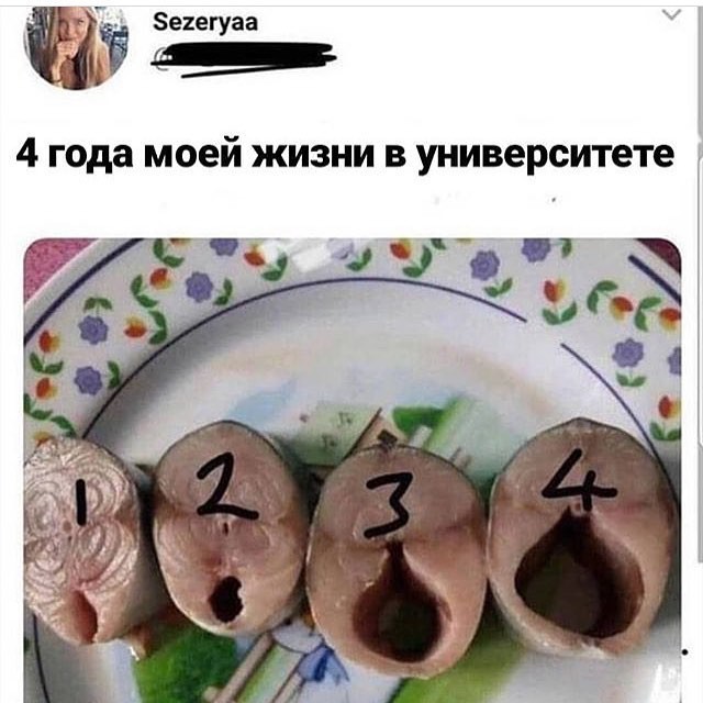 ���������� #2269533