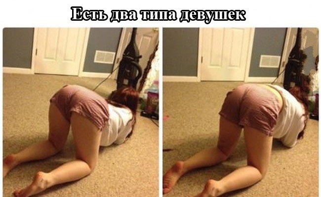 ���������� #2269537