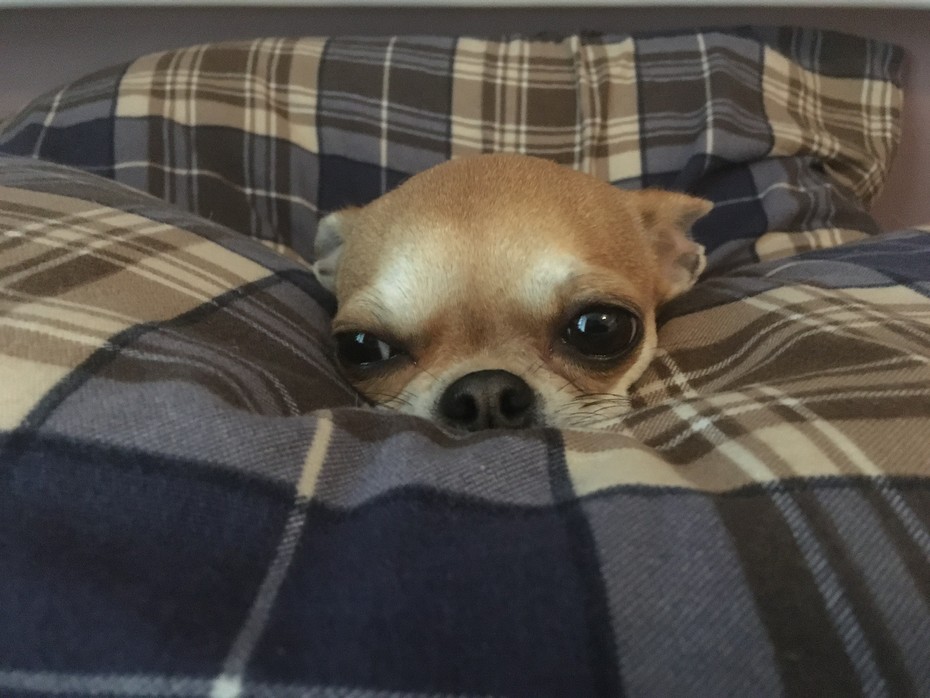���������� #2269718