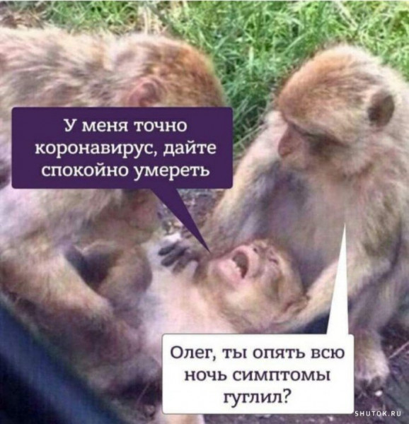 ���������� #2270143