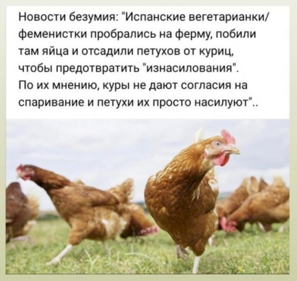 ��� ����� � ���...