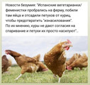��� ����� � ���...