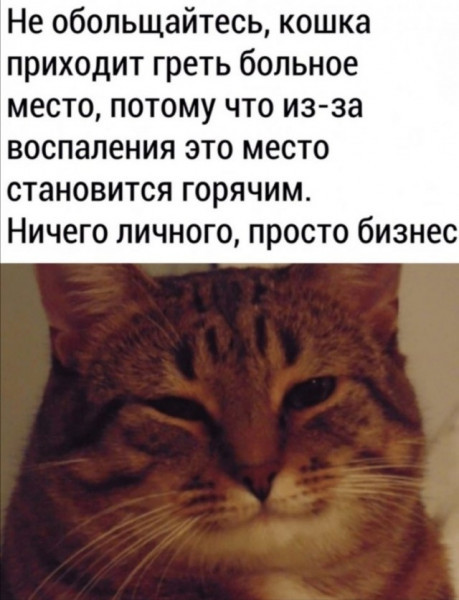 kowk