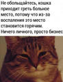 kowk