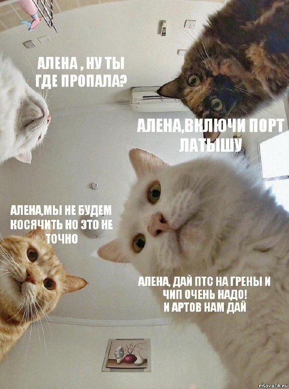 ���� �� ꧁☬�����☬꧂
