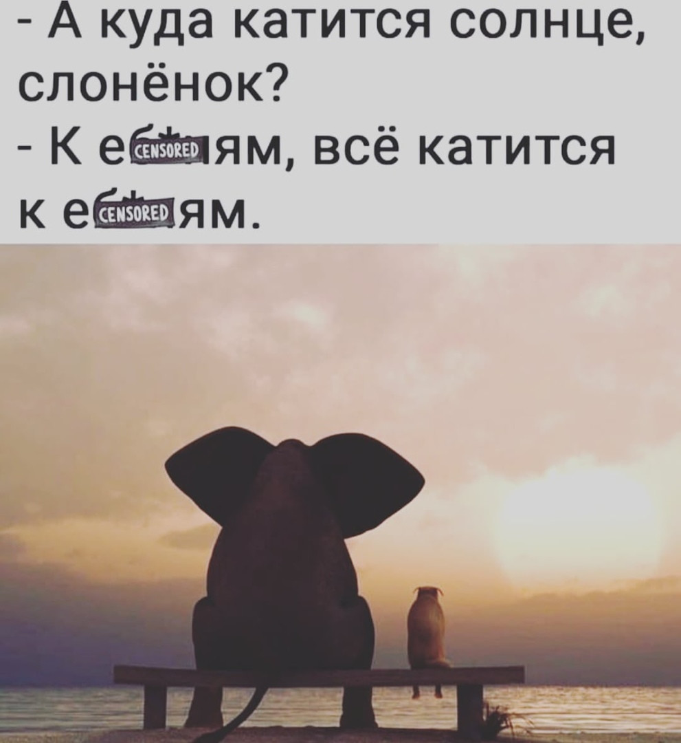 ���������� #2272005