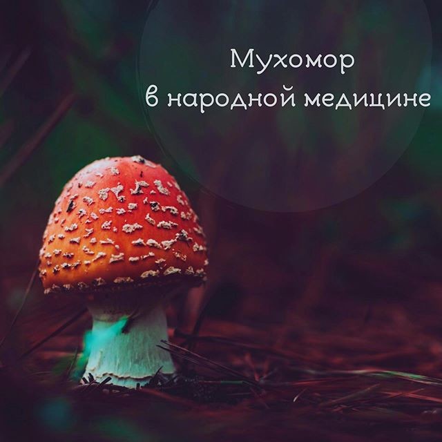 ��� ����������? ������ � ��