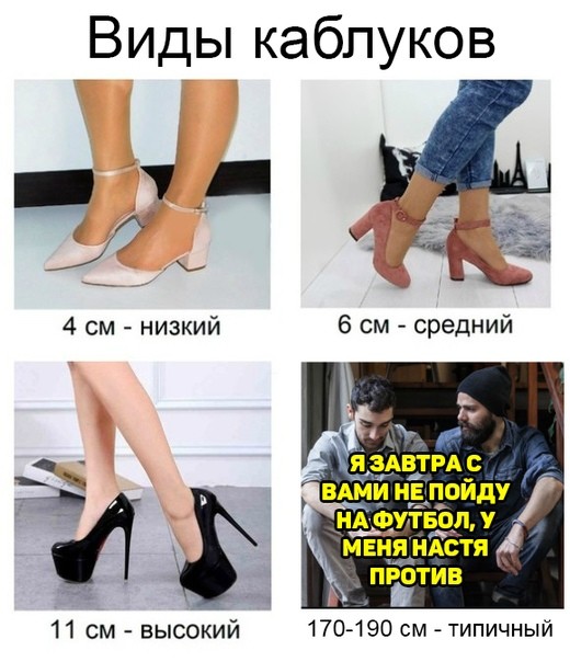 ���������� #2272601